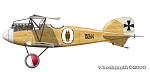 Franz Graser's Albatross D.III