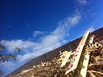 Anzac day! can you see the flypast of the Winjeel and Harvard Texan?