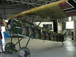 TAVAS Fokker D.VIII