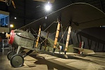 SPAD VII (2)