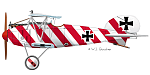 Albatros D III OAW Jasta39 Oblt Josef Loeser