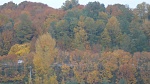 Looking across Boeing Field at the beautiful fall colors