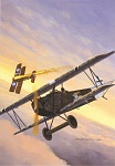 Fokker DVII