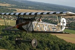 Fokker DVII F