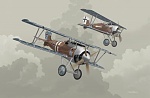 WW1 SSW D.IV