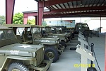 Line up of jeeps