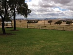 Cowra 13