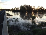 Flooded creek