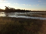 Flooded paddocks