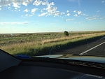 Plains north of Narrabri