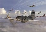 P 51 escort