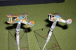 Gloster Gladiators 5