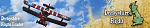 Derbyshire Flight Leader 
Sopwith Camel 
Custom Scheme RAF 
 
Custom Background banner for Simon [Maverick], for his use only