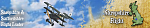 Shropshire & Staffordshire Flight Leader Banner 
 
For Mark's [Baron Rolf] use only. 
 
Fokker Dr.1 with Josef Jacob's markings.