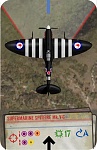 Spitfire black kiwi