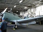 8   SBD Dauntless   Side