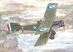 Bristol f2b picture