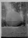 IMGDrkned 
 
This is a fesselballoon that has been moored within a grove of trees to provide some protection.