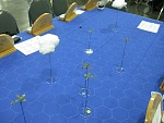 Origins2012 3204