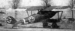 Pfalz D.IIIa L   Jasta 7. Note replacement ailerons (AL0630 027)