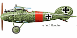 Albatros D.V, Jasta 15, Lt. Heinrich Gontermann