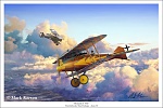 WW1 plane artwork