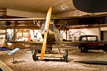 Fokker DVII (2)