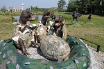 Jurasic-Park-6.jpg