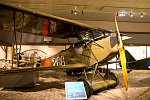 Fokker DVII (1)