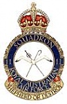 11 Sqd RAAF Badge