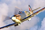 Spitfire(1)