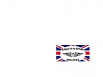 Click image for larger version. 

Name:	wings on flag.jpg 
Views:	141 
Size:	44.0 KB 
ID:	112808