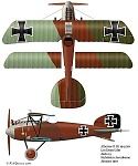 Ernst Udet's Albatros D.III 
Jasta 37 (Jan 1917)