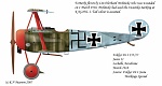 BP_Fokker Dr.I Js11-155_17 Swastika.jpg