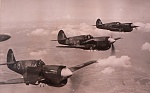 2. P40 Kittyhawk formation.jpg