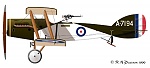 Bristol Fighter F.2b 
Serial A7194 
1 Sqn AFC 
Palestine