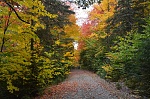 Click image for larger version. 

Name:	driveway.jpg 
Views:	130 
Size:	269.1 KB 
ID:	197695