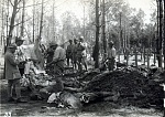 "French and boche corpses brought back from the front lines to be buried (after an attack). Nov. 1917." 
 
by drakegoodman