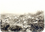 The remains of French soldiers, unable to be buried because they had fallen in "no-man's land", July 1917 
 
Note on reverse (below) translated by...