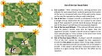 Click image for larger version. 

Name:	Out of the Sun House Rules.jpg 
Views:	156 
Size:	174.0 KB 
ID:	199744
