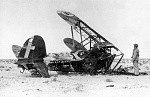 Click image for larger version. 

Name:	Fiat-CR-42-Falco-abandoned-wreck-North-Africa-1942-01.jpg 
Views:	60 
Size:	143.3 KB 
ID:	221532