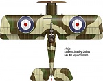 40 Sqn SE5a D3511 
Maj RS Dallas 
May 1918