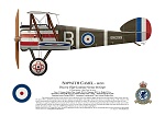 Click image for larger version. 

Name:	sopwith-camel-b6299-side-profile-view-ed-jackson.jpg 
Views:	71 
Size:	112.7 KB 
ID:	238135