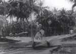 P40 Milne Bay 2