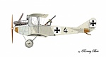 rumpler c i