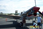 P-40 Flying Tigers