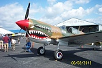 P-40