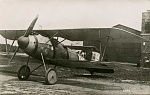 Albatros DV