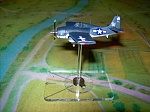 GM FM-2 Wildcat. Sweet Models, 1/144