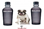 Click image for larger version. 

Name:	Bulldog_gin.jpg 
Views:	27 
Size:	78.8 KB 
ID:	172295